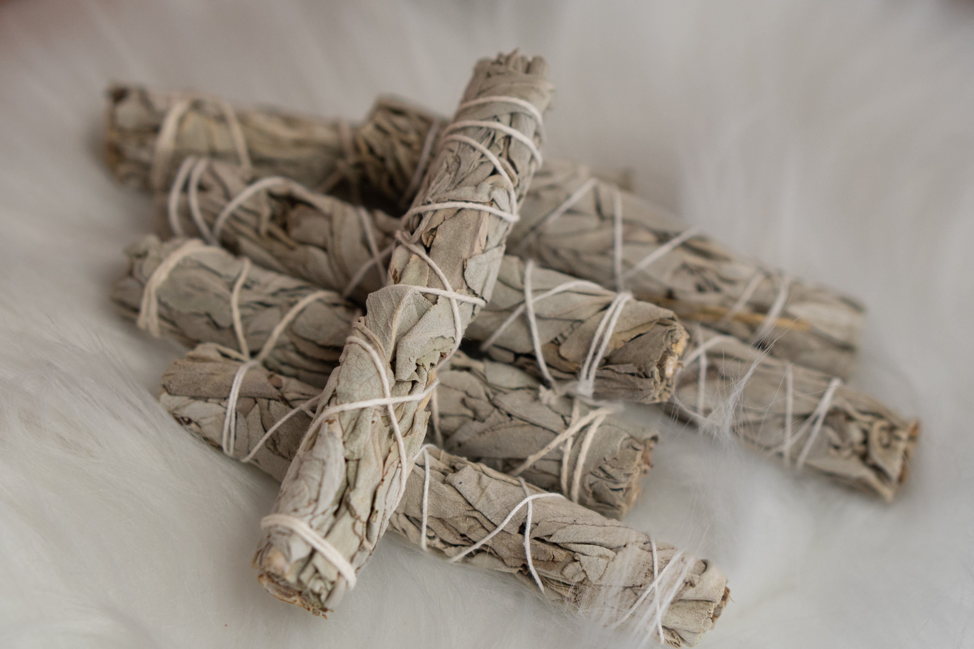 Sage Smudge Stick